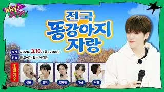 보이넥스트도어